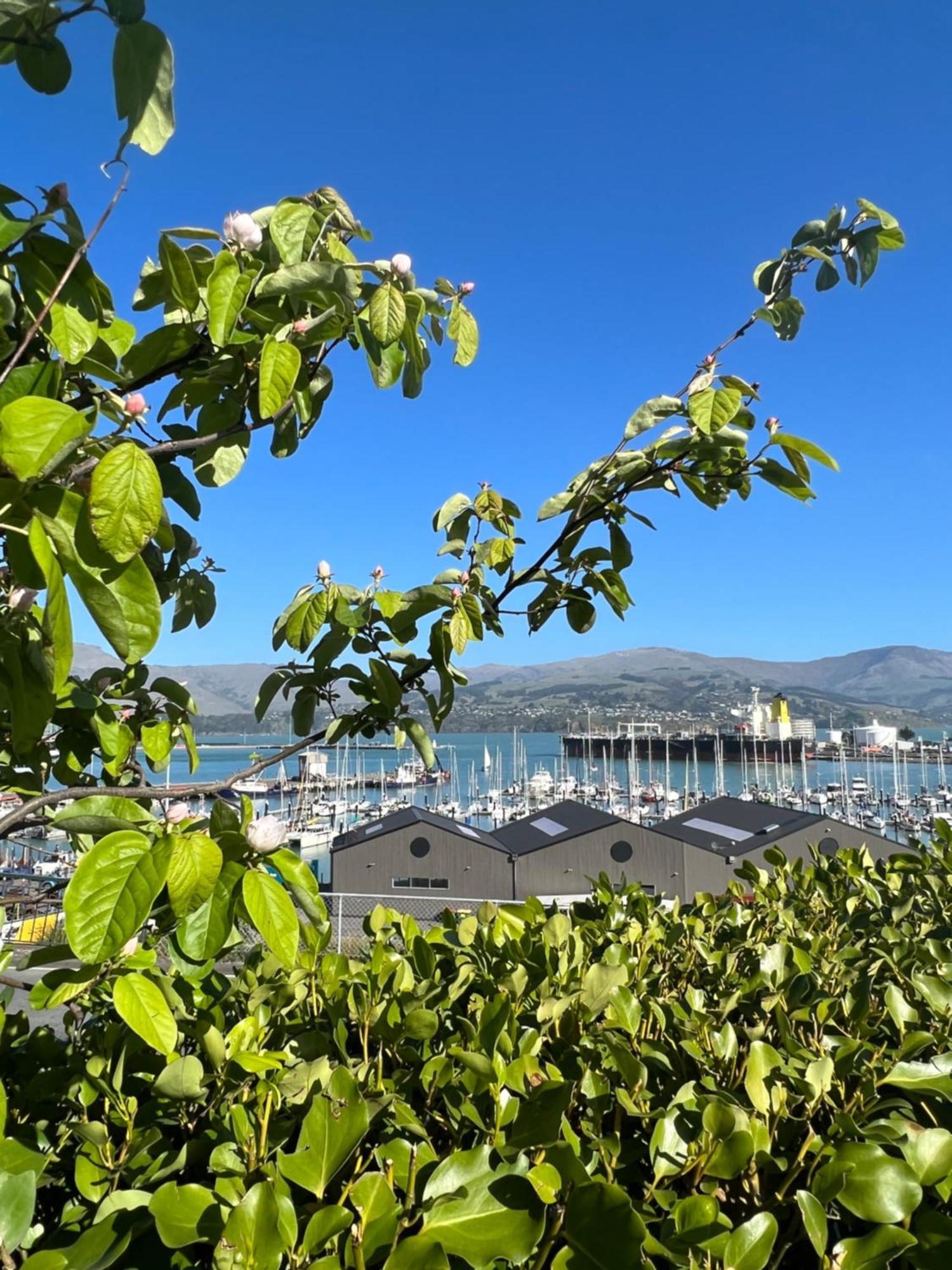 Sea Views In Luxury At Lyttelton Boatique House - 14 Km From Christchurch Exteriér fotografie